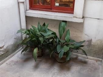 https://web5.gallito.com.uy/ph-en-venta-2-dormitorios-1-baño-patio-tres-inmuebles-25955229