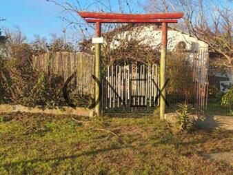 https://web5.gallito.com.uy/alquiler-casa-en-el-pinar-norte-a-1-cuadra-de-ruta-interbal-inmuebles-27632769