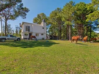 https://web5.gallito.com.uy/chacra-con-4-hectareas-a-la-venta-en-la-floresta-inmuebles-28035985