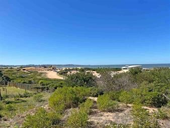 https://web5.gallito.com.uy/venta-lote-chihuahua-con-vista-al-mar-inmuebles-28036325