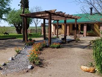 https://web5.gallito.com.uy/venta-chacra-10-ha-proxima-a-ruta-n2-y-pueblo-egaña-sor-inmuebles-28039600