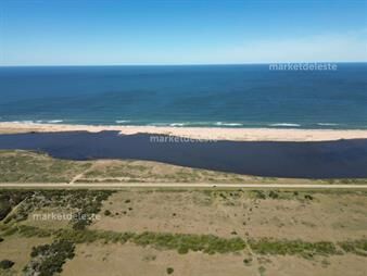 https://www.gallito.com.uy/chacra-sobre-el-mar-jose-ignacio-inmuebles-28046397