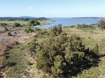 https://web5.gallito.com.uy/venta-chacra-17-ha-sobre-la-laguna-del-sauce-punta-del-este-inmuebles-28047205