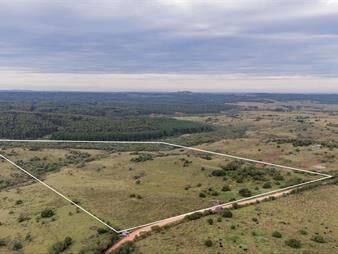 https://web5.gallito.com.uy/oportunidad-campo-20-ha-venta-en-las-sierras-de-garzon-inmuebles-28047217