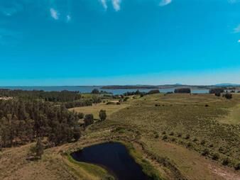 https://web5.gallito.com.uy/venta-chacra-laguna-del-sauce-ruta-12-punta-este-10-ha-inmuebles-28047235