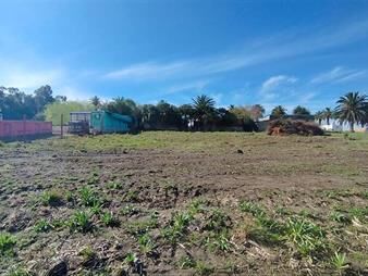 https://web5.gallito.com.uy/terreno-en-venta-en-valdense-inmuebles-28047314