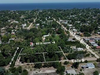 https://web5.gallito.com.uy/venta-de-terreno-en-esquina-sobre-avenida-inmuebles-28047357