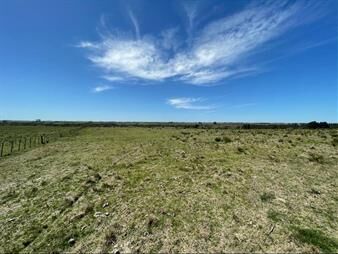 https://web5.gallito.com.uy/campo-19-hectareas-ruta-39-san-carlos-maldonado-inmuebles-28047945