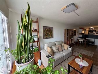 https://web5.gallito.com.uy/hermoso-apartamento-en-cordon-1-dorm-50-m2-gge-inmuebles-27727628