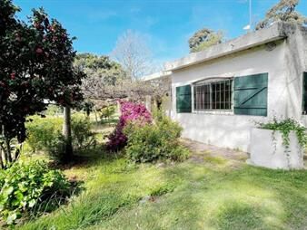 https://web5.gallito.com.uy/venta-de-hermosa-chacra-en-riachuelo-colonia-inmuebles-27929863