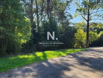 https://web5.gallito.com.uy/vende-terreno-amplio-de-4226-m2-en-las-cumbres-inmuebles-25958934