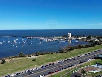 https://web5.gallito.com.uy/venta-apartamento-a-estrenar-un-dormitorio-buceo-inmuebles-27296991