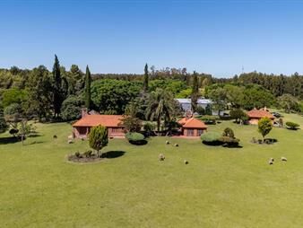 https://web5.gallito.com.uy/venta-campo-60h-casco-y-galpones-en-fray-bentos-inmuebles-27370151