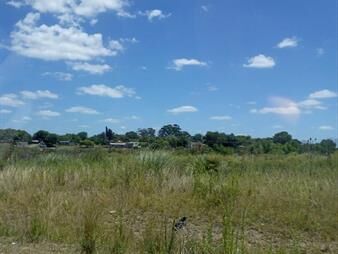 https://web5.gallito.com.uy/venta-de-terreno-pronto-para-edificar-en-pando-inmuebles-26863849
