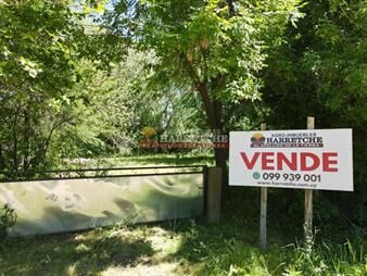 https://web5.gallito.com.uy/terreno-centrico-para-fraccionar-en-los-cerrillos-inmuebles-28032272