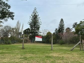 https://web5.gallito.com.uy/terreno-en-venta-ubicado-en-la-codiciada-zona-del-inmuebles-28063929