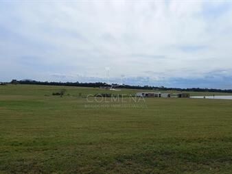 https://web5.gallito.com.uy/laguna-de-los-cisnes-inmuebles-27764190