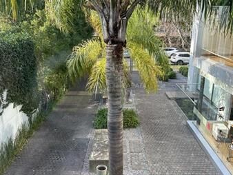 https://web5.gallito.com.uy/alquiler-oficina-60-mc-luminosa-soleada-carrasco-sur-impe-inmuebles-28039801