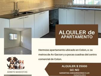 https://www.gallito.com.uy/alquiler-de-apartamento-en-colon-inmuebles-28067484