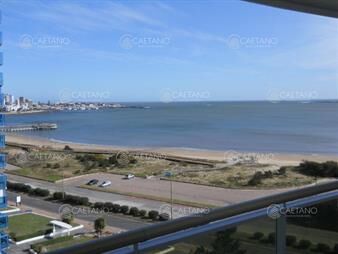 https://web5.gallito.com.uy/coral-tower-inmuebles-26411209