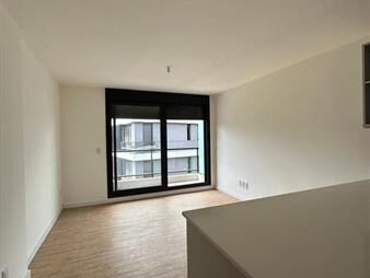 https://web5.gallito.com.uy/alquiler-apto-1-dorm-balcon-gge-punta-gorda-inmuebles-28070074