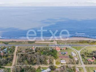 https://web5.gallito.com.uy/enorme-terreno-en-venta-primera-linea-bella-vista-maldona-inmuebles-27674010