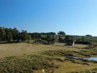 https://web5.gallito.com.uy/campo-en-venta-proximo-a-garzon-y-jose-ignacio-inmuebles-27503708