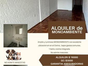 https://web5.gallito.com.uy/alquiler-de-monoambiente-en-centro-inmuebles-28063983