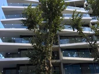 https://web5.gallito.com.uy/alquiler-de-apartamento-un-dormitorio-en-centro-705-inmuebles-26928393