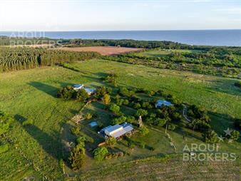 https://web5.gallito.com.uy/chacra-turistica-en-venta-en-colonia-4-hectareas-4-casas-inmuebles-27156568