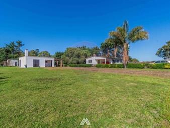https://www.gallito.com.uy/venta-de-campo-3-5ha-sobre-ruta-87-con-dos-casas-inmuebles-28031253