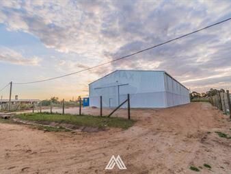 https://web5.gallito.com.uy/alquiler-de-deposito-1000m²-bypass-ruta-101-pando-inmuebles-28081708