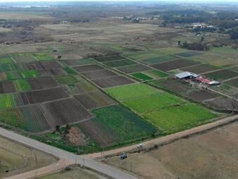 https://www.gallito.com.uy/venta-campo-de-7-ha-en-zona-de-barrios-privados-inmuebles-28081709