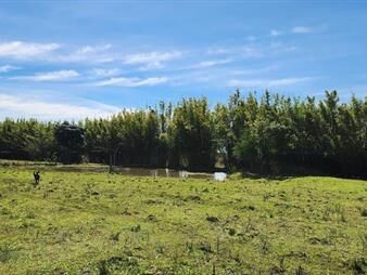https://www.gallito.com.uy/chacra-terreno-en-venta-joaquin-suarez-ruta-84-inmuebles-28082510