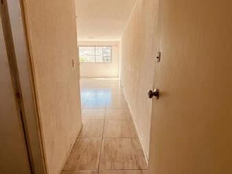 https://web5.gallito.com.uy/alquiler-monoambiente-a-nuevo-sobre-soriano-y-inmuebles-28082989