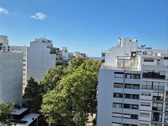 https://web5.gallito.com.uy/sobre-gabriel-pereira-casi-berro-en-un-9o-piso-inmuebles-28083023