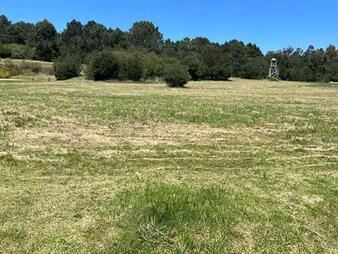 https://web5.gallito.com.uy/terreno-en-venta-en-chacras-de-jose-ignacio-inmuebles-28086283