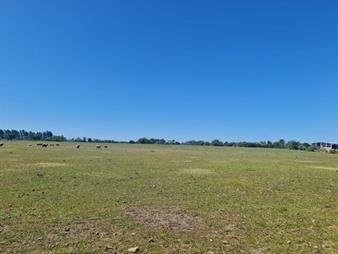 https://web5.gallito.com.uy/paysandu-4-6-hectareas-a-pasos-de-ruta-3-km-359-inmuebles-28097687