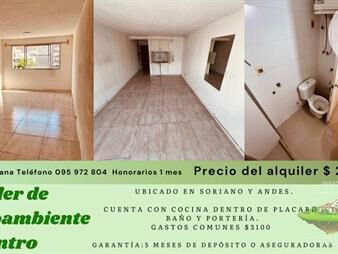 https://web5.gallito.com.uy/alquiler-de-monoambiente-en-centro-inmuebles-28098188