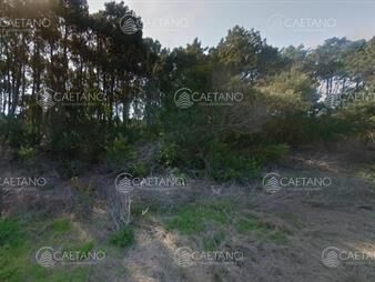 https://web5.gallito.com.uy/excelente-terreno-con-1000-metros-cuadrados-a-250-inmuebles-24749552