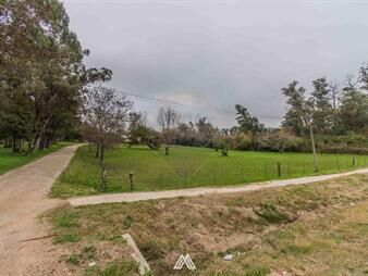 https://web5.gallito.com.uy/alquiler-local-oficinas-y-gran-predio-sobre-ruta-8-inmuebles-27124440