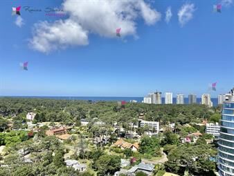https://web5.gallito.com.uy/alquiler-temporario-2-dormitorios-edificio-fontainebleau-inmuebles-27091722