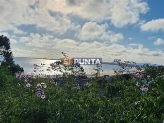 https://web5.gallito.com.uy/terreno-en-punta-ballena-rinconada-alta-inmuebles-28109987
