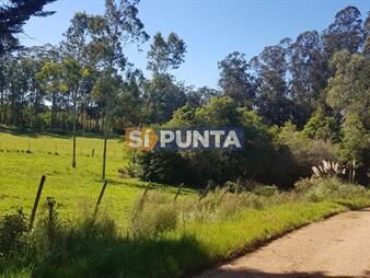 https://www.gallito.com.uy/venta-terreno-en-las-silvias-laguna-del-diario-inmuebles-28109995