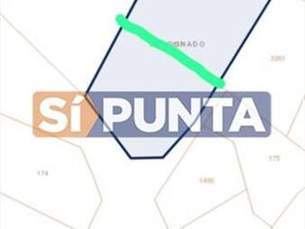 https://web5.gallito.com.uy/terreno-en-punta-ballena-solanas-inmuebles-28110046
