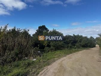https://www.gallito.com.uy/terreno-en-punta-ballena-las-grutas-inmuebles-28110049
