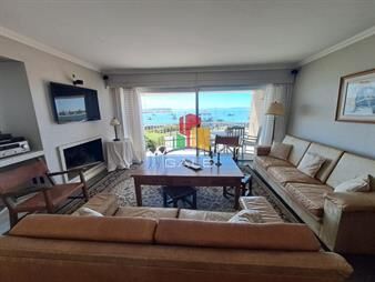 https://web5.gallito.com.uy/apartamento-alquiler-puerto-inmuebles-26273227