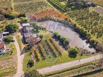 https://web5.gallito.com.uy/venta-chacra-en-melilla-4-7-has-cno-los-pirinchos-inmuebles-27468575