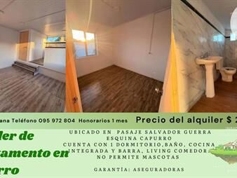 https://web5.gallito.com.uy/alquiler-de-apartamento-en-capurro-inmuebles-28102523
