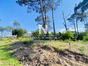 https://web5.gallito.com.uy/venta-terreno-en-reserva-montoya-usd-310000-inmuebles-27363241
